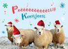 schapen prettig kerstfeest